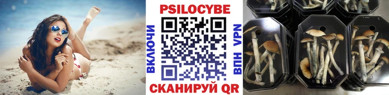 Псилоцибиновые грибы мухоморы  купить наркоту  Елец 
